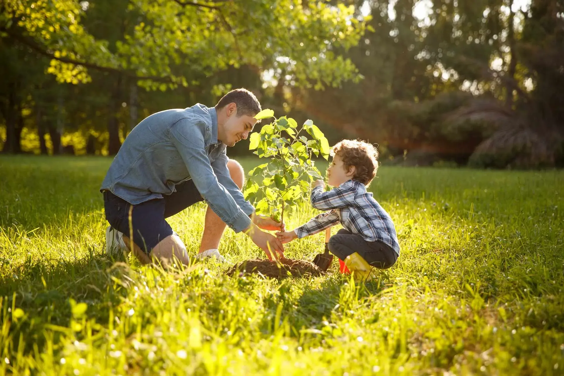 Vater und Sohn pflanzen auf der Wiese einen Baum ein